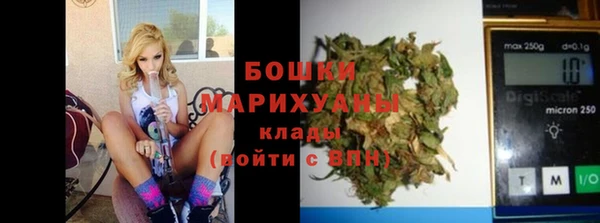 стаф Ладушкин