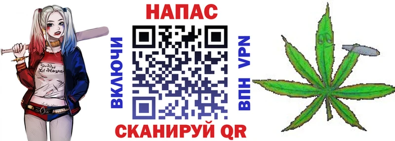 Шишки марихуана гибрид  Купить закладки  Зея 